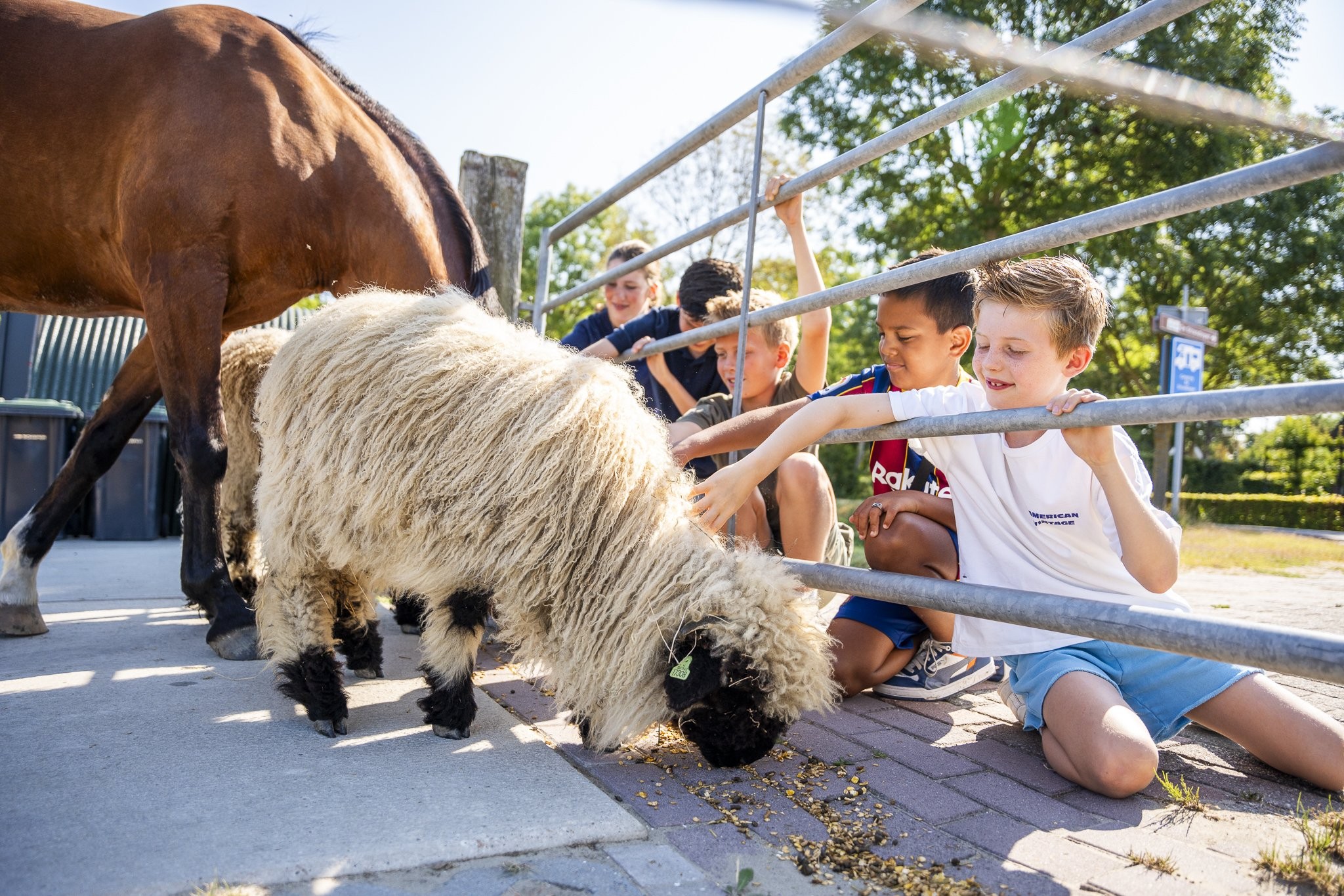 Tierweide